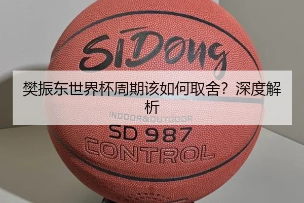 樊振东世界杯周期该如何取舍？深度解析